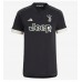 Juventus Adrien Rabiot #25 Replica Third Shirt 2023-24 Short Sleeve